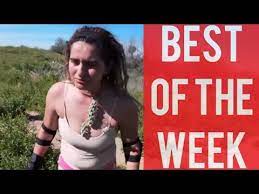 We've done our best to cover all of the different cactus puns you could possibly wish for. Biker Falls Into Cactus Bush And Other Funny Videos Best Fails Of The Week October 2019 Youtube