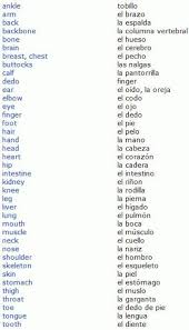Adjetivos Cortos En Ingles Google Search En 2020 Vocabulario En Ingles Ingles Palabras Partes Del Cuerpo En Ingles