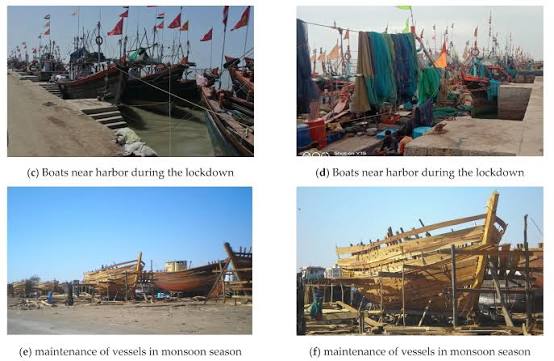 Impact of COVID-19 Lockdown on the Fisheries Sector: A Case Study from Three Harbors in Western India