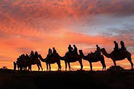 Uluru / ayers rockmountain, 13 km southeast. Uluru Camel Tours Yulara 2021 All You Need To Know Before You Go With Photos Tripadvisor