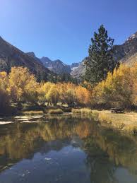 Mule pack for supplies up and back. Https Www Campgroundreviews Com Regions California Big Pine Glacier Lodge Campground 255401