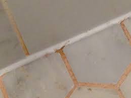 Maybe you would like to learn more about one of these? Pink Orange Mold Pro Needed