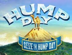 Guess what day it is! Hump Day Camel