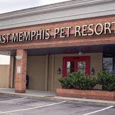 The staff is great and they treat you like family. East Memphis Pet Hospital 10 Reviews Pet Groomers 492 Perkins Ext Memphis Tn Phone Number