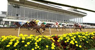 It's that race that gives the name to preakness, a variation on the classic manhattan. Preakness Stakes Visitmaryland Org