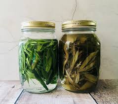 Olive Leaf Tincture Olive Leaf Extract Herbal Medicine In 2020 Olive Leaf Healing Herbs Herbalism