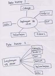 Buatlah peta konsep tentang lingkungan yang sesuai agar tanaman dapat tumbuh subur. Buatlah Peta Konsep Tenteng Lingkungan Yang Sesuai Agar Tanaman Dapat Tumbuh Subur Brainly Co Id