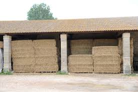 15 отметок «нравится», 1 комментариев — famille de geeks (@babs2a) в instagram: Vente De Foin Foin Bio Pour Vaches Chevaux Chevres Et Brebis Etablissements Die