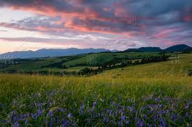 Slovakia scenery landscape nature wallpaperaccess chalet fields wallpapers sky mountain tag wallperio. Slovakia Landscape Stock Photos Offset