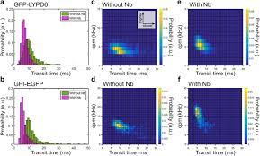 Nowe inspiracje polecane przez stylową redakcję. Influence Of Nanobody Binding On Fluorescence Emission Mobility And Organization Of Gfp Tagged Proteins Biorxiv
