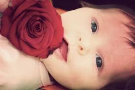 Tak melulu bunga mawar, melati atau pun anggrek yang memiliki tampilan. 61 Nama Bayi Perempuan Yang Artinya Mawar Namaanakperempuan Net