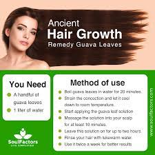 Ancient Hair Growth Remedy Hair Remedies For Growth Hair Growth Home Remedies Hair Growth Tips