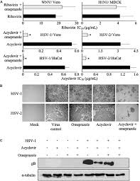 While a negative result is reliable, a positive result isn't much help because it doesn't tell you what type. Frontiers Omeprazole Increases The Efficacy Of Acyclovir Against Herpes Simplex Virus Type 1 And 2 Microbiology