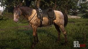 Make Your Horse Brave!⭐ Rdo Horse Guide Faq - Youtube