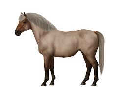 Uses yonaguni is used as riding horse. Mfi Yonaguni Pony Horse World Online