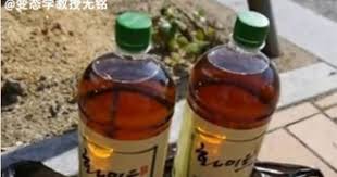 ton sool 糞酒 トンスル 똥술 true korea 酒 作る