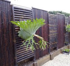 See more ideas about painting, fence paint, fence art. Need Privacy Fence Ideas These Will Be Your 20 Coolest Privacy Fence Inspiration