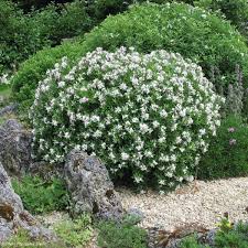 Epingle Sur Jardin