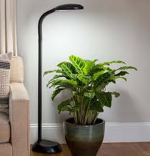 We did not find results for: 13 Of The Best Grow Lights For Indoor Gardens Gardener S Path