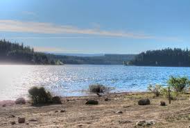 Campsites are situated at an elevation of 1,249 feet, in oregon's cascade mountains, nestled in a mixed forest of conifers and hardwoods. Clear Lake Campground Mt Hood Oregon