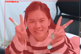 yolov8图像识别| 微开源