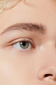 نتیجه جستجوی لغت [eyebrows] در گوگل