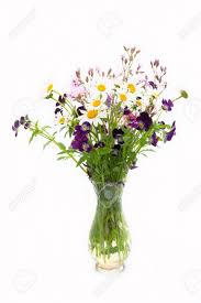 Weitere ideen zu blumenstrauß, blumen, strauß. Kamille Und Wald Blumen Blumenstrauss Auf Einem Weissen Hintergrund Lizenzfreie Fotos Bilder Und Stock Fotografie Image 41189743