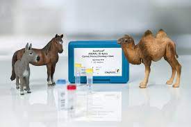 They have a thick coat of hair that protects them from the heat in the day, and keeps them warm at night. Surefood Animal Id 4plex Camel Horse Donkey Iaac Food Feed Analysis