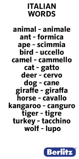 Italian Words Animals Italian Words Italian Language Learning Learning Italian