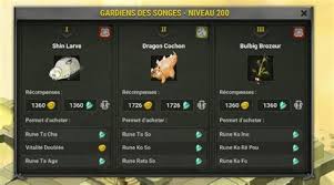 Après avoir atteint le niveau 70, il est possible de devenir une. Liste Rune De Transcendance Dofus Runes De Transcendance Dofus Nutrifreshdays