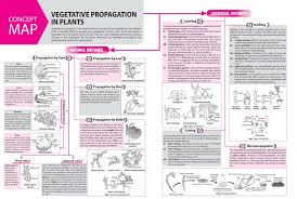 Pin On Biology Notes Neet