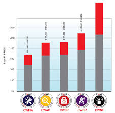 Wireless Lan Community Compensation Benchmark Survey