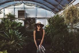 Rion grand gardener 2 clear greenhouse. The 10 Best Backyard Greenhouses To Grow Plants All Year Long Happy Diy Home