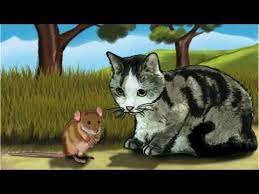 kedi ile fare dinleme izleme metni 8 sinif turkce ders kitabi kedi fareler izleme