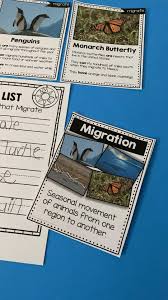 All About Winter Free Activities Keeping My Kiddo Busy Video Video In 2020 Kindergarten Science Kindergarten Animals That Hibernate