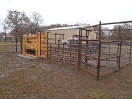 Simple Cattle Working Pens Related