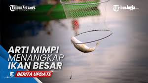 Kamu berada dalam situasi kehidupan yang menyenangkan dan berlebihan secara umum. Arti Mimpi Menangkap Ikan Besar Youtube