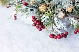 Getting Jingle Bell Flowers Advice From A Real Alaskan Florist