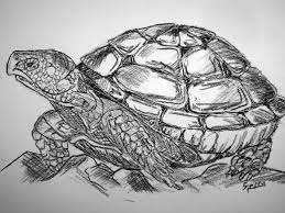 Pin On Charcoal Drawings
