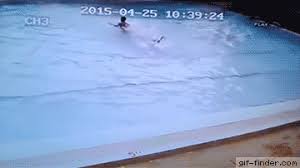 Please rate the gif image. Swimming Pool During An Earthquake Find And Share Funny Animated Gifs Amazing Gifs Earthquake Funny Gif