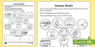 Answer key printable worksheets @ www.mathworksheets4kids.com. Human Needs Worksheet