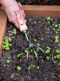 Garden Cultivator With Lifetime Guarantee Hand Cultivator Garden Cultivator Garden Supplies Garden Tools