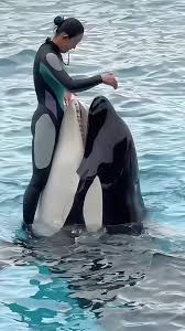 Jessica Radcliffe Waves | TikTok