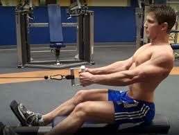 The point of seated cable row alternative exercises is to target the same muscles. Seated Cable Row Exercise Form Guide With Video Pictures