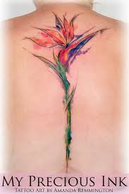 My New Spine Tattoo Bird Of Paradise Strelitzia Flower In Watercolor Technique Great Artwork By The Wonderf Paradise Tattoo Bird Of Paradise Tattoo Tattoos