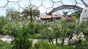 The eden project is made up of large gardens housed in tropical biomes that nestle in a crater the size of 30 football pitches. Tripadvisor Mediterranean Biome Overlooking The Restaurant Tropical Rainforest Biome Visible Through The Do ØµÙˆØ±Ø© Eden Project Bodelva