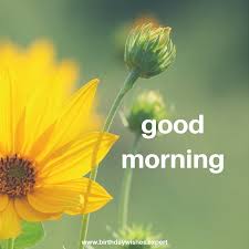 60 Good Morning Images With Pretty Flowers Updated 2019 Wish good morning my love! to your partner with these good morning love quotes, images, poems and sms text messages. good morning images with pretty flowers