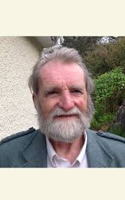 Wholesale The Old Grey Magician by George Macpherson for your store