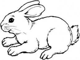 Ausmalbilder Kaninchen Ausmalbilder Fur Kinder Ausmalbilder Tiere Ausmalbild Hase Malvorlage Hase
