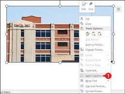 To manually add captions in word, select the object, table or equation to which you want to apply the caption. How To Insert Automatic Picture Numbers And Captions In Word 2016 Dummies
